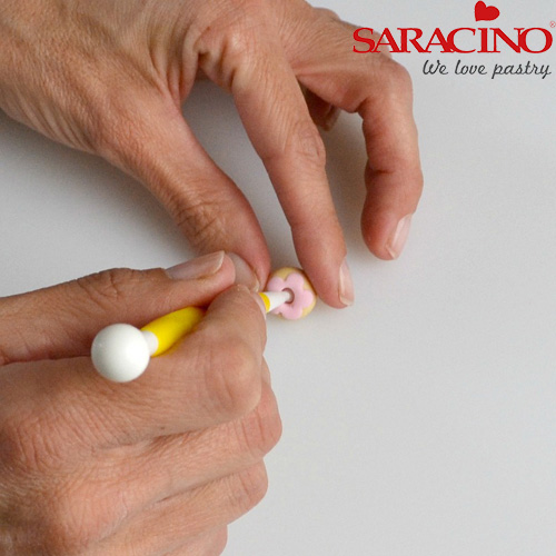 picnicsaracino22_1