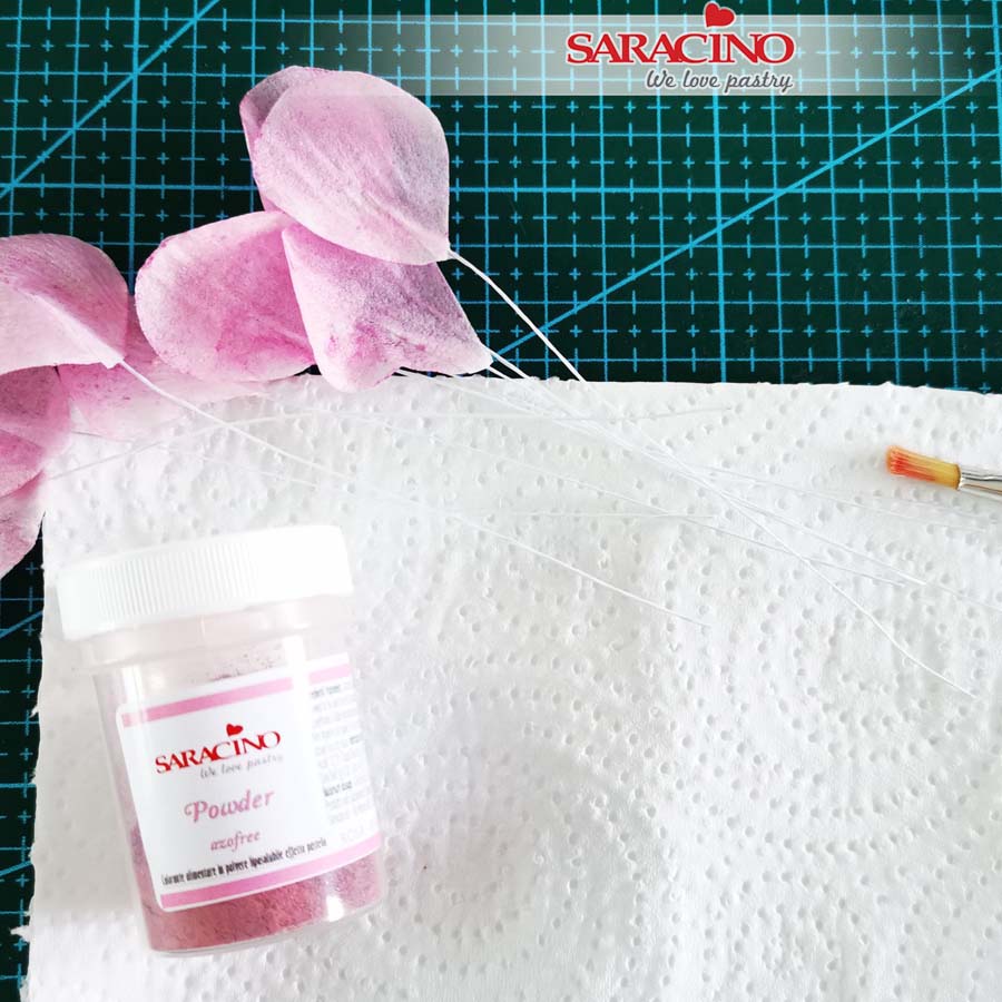 nor_soft
