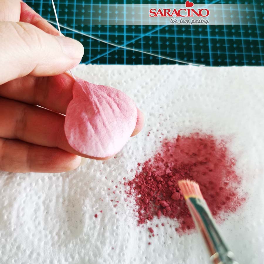 nor_soft